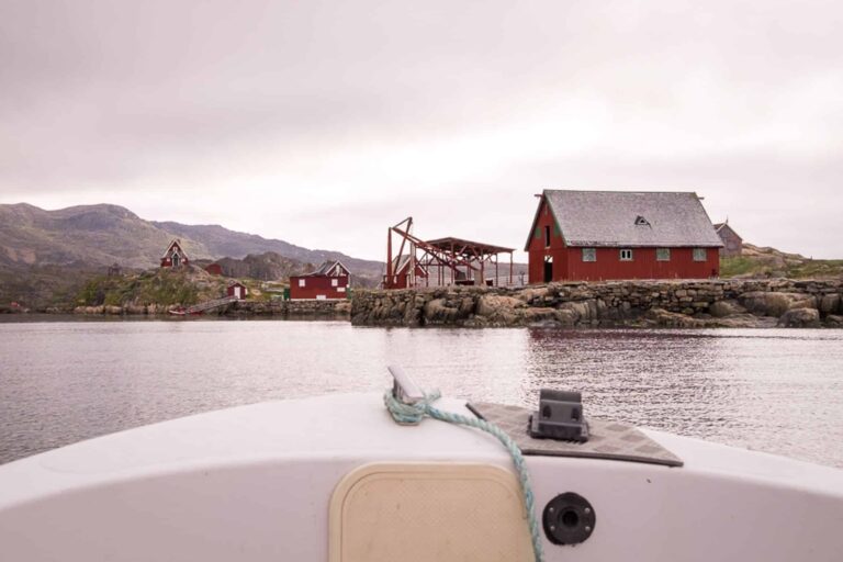 Private sea safari in open boat | Sisimiut - Image 6