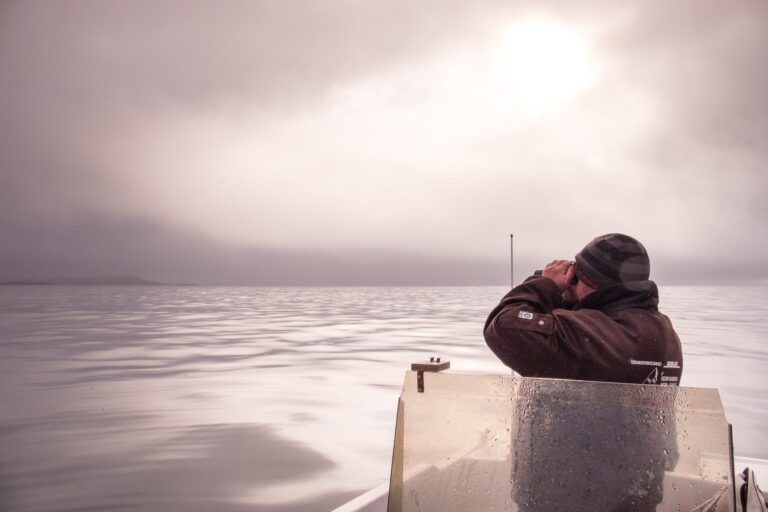 Private sea safari in open boat | Sisimiut - Image 7