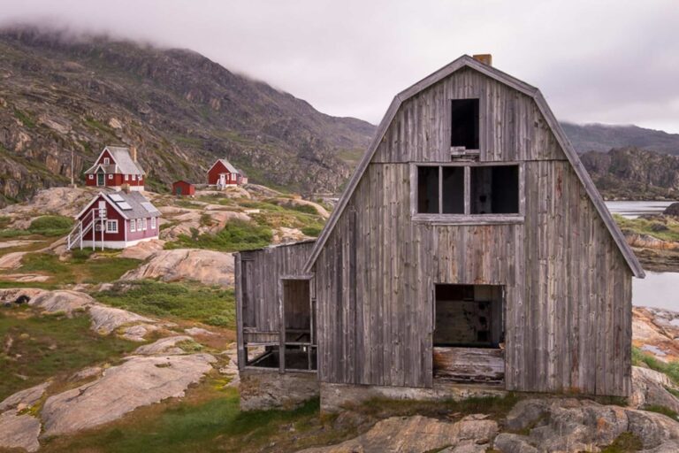 Private sea safari in open boat | Sisimiut - Image 9