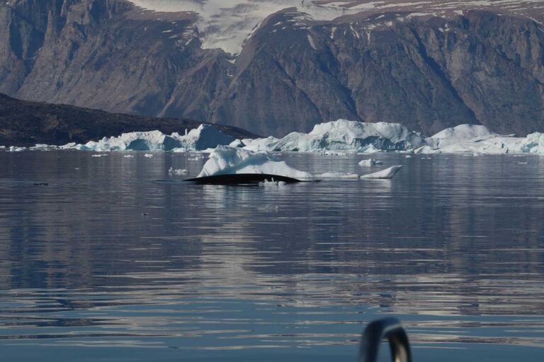 Boat tour to Ikerasak settlement | Uummannaq | North Greenland - Image 3