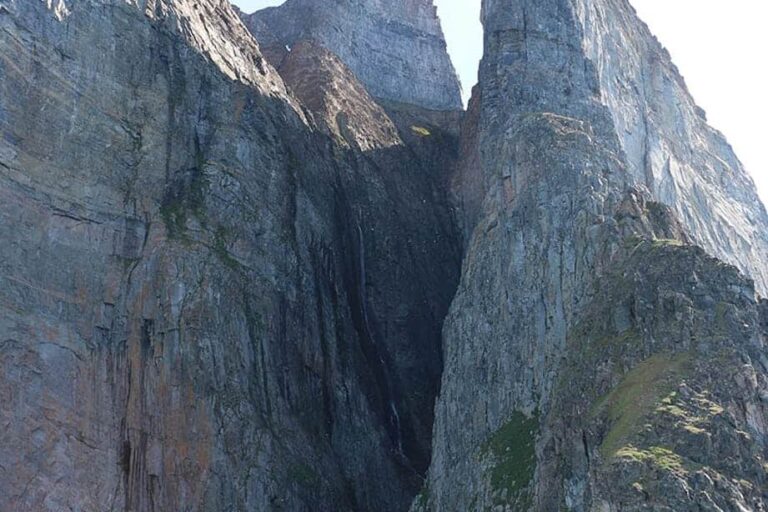 Whale & Musk Ox Safari by boat | Uummannaq | North Greenland - Image 7