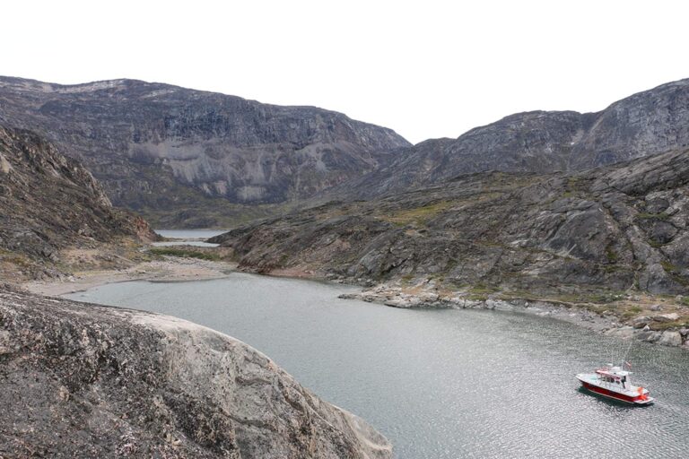 Whale & Musk Ox Safari by boat | Uummannaq | North Greenland - Image 8