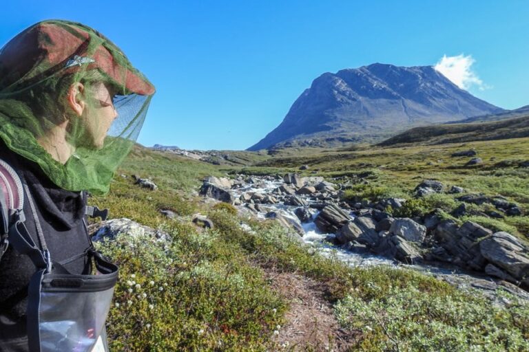 Qooqqut Nuan | Nuuk - Image 3