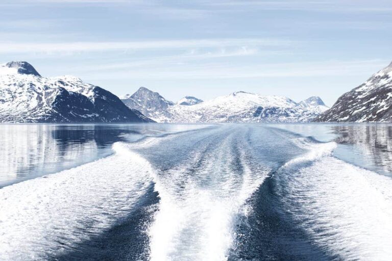 Geschlossene Boot Fjord-Abenteuer | Nuuk - Image 14