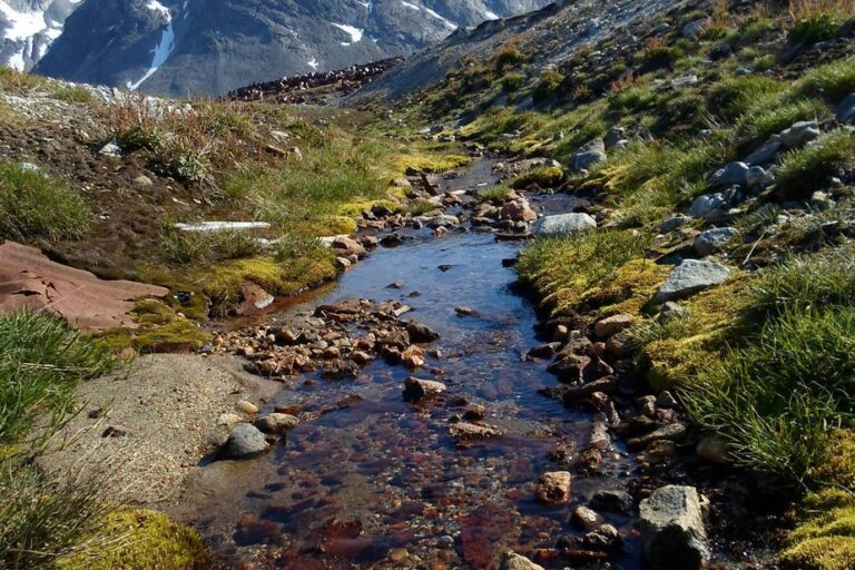 Sejltur til Karale & Knud Rasmussen Gletsjer | Tasiilaq | Øst Grønland - Billede 4