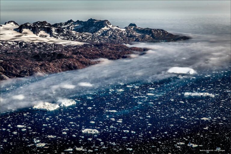 Sejltur til Karale & Knud Rasmussen Gletsjer | Tasiilaq | Øst Grønland - Billede 5