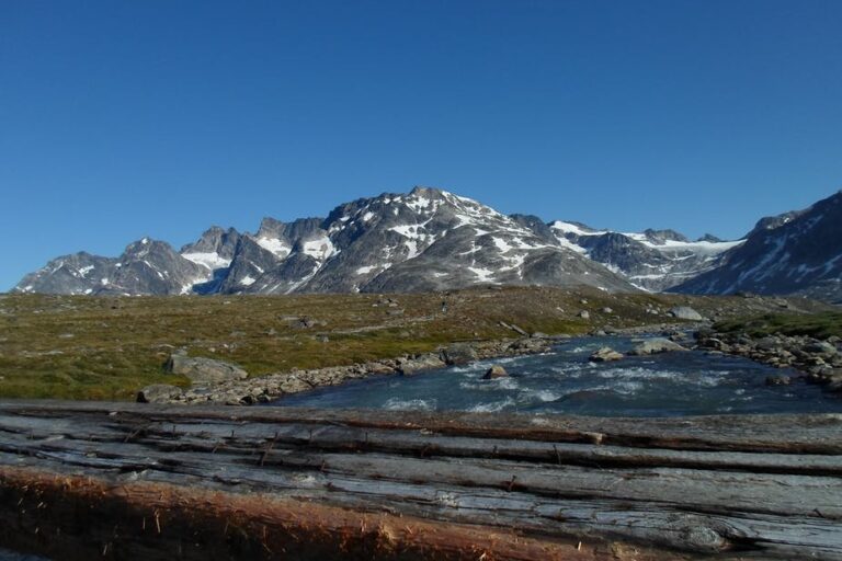 Sejltur til Karale & Knud Rasmussen Gletsjer | Tasiilaq | Øst Grønland - Billede 7