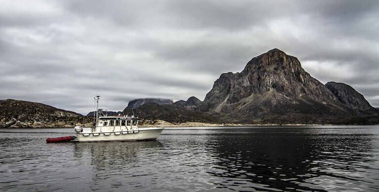 Havsafari i Sisimiut I Vestgrønland - Billede 2