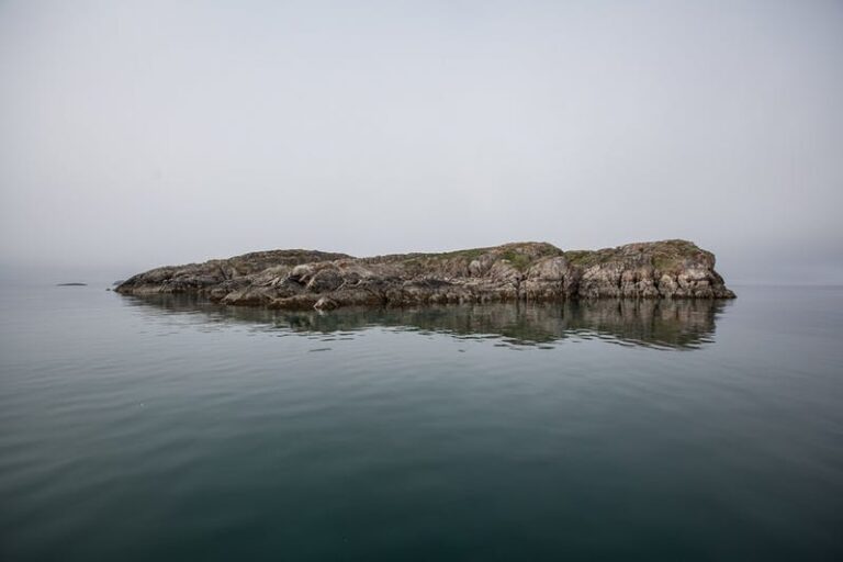 Havsafari i Sisimiut I Vestgrønland - Billede 10