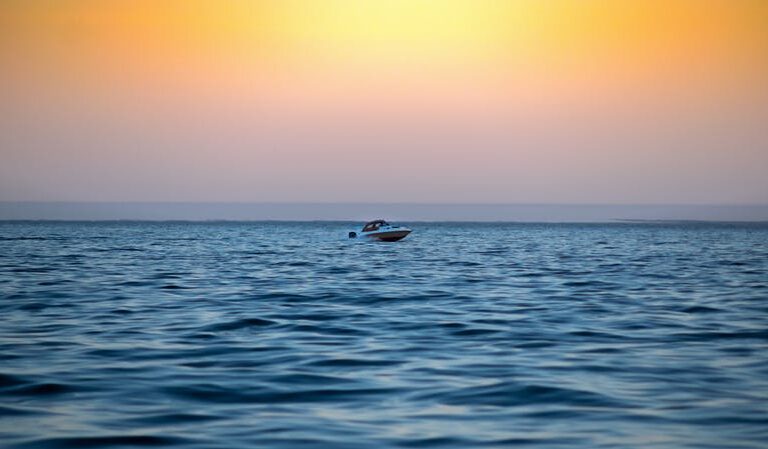 Havsafari i Sisimiut I Vestgrønland - Billede 5