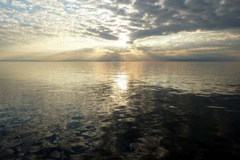 Havsafari i Sisimiut I Vestgrønland - Billede 7