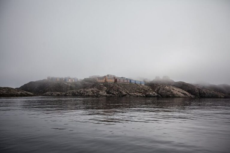 Havsafari i Sisimiut I Vestgrønland - Billede 8