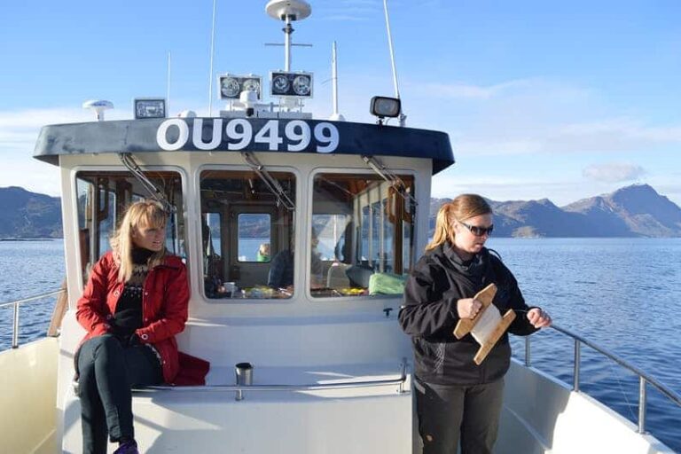 Havsafari i Sisimiut I Vestgrønland - Billede 9