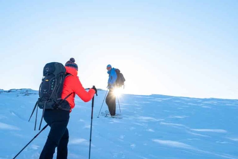 Sneskovandring & Saunaoplevelse | Ilulissat | Diskobugten - Billede 2