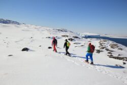 Ski & Snowshoe Tours
