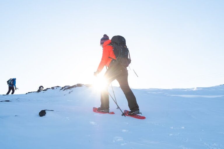 Sneskovandring & Saunaoplevelse | Ilulissat | Diskobugten - Billede 3