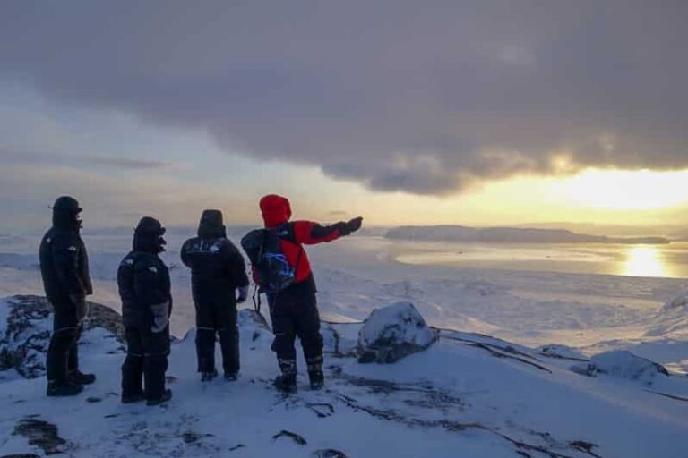 Sneskovandring & Saunaoplevelse | Ilulissat | Diskobugten - Billede 5