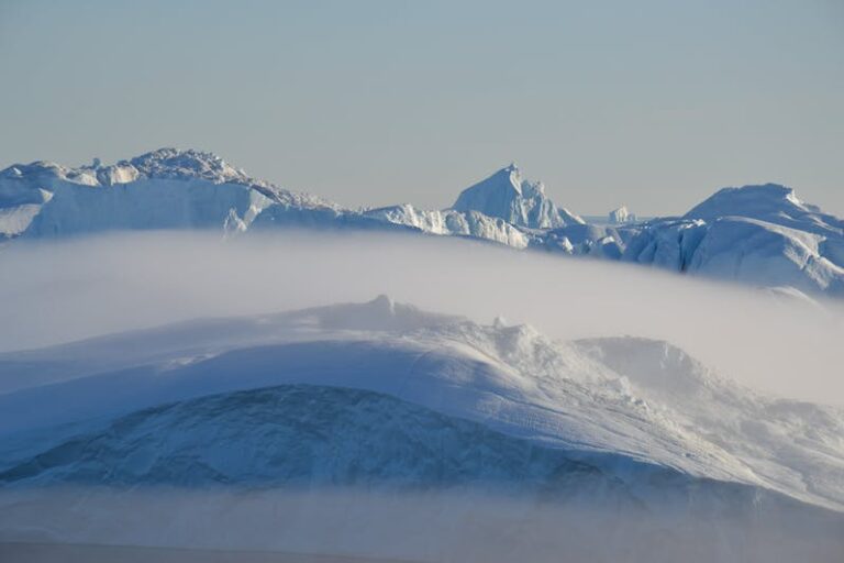 Sneskovandring & Saunaoplevelse | Ilulissat | Diskobugten - Billede 10
