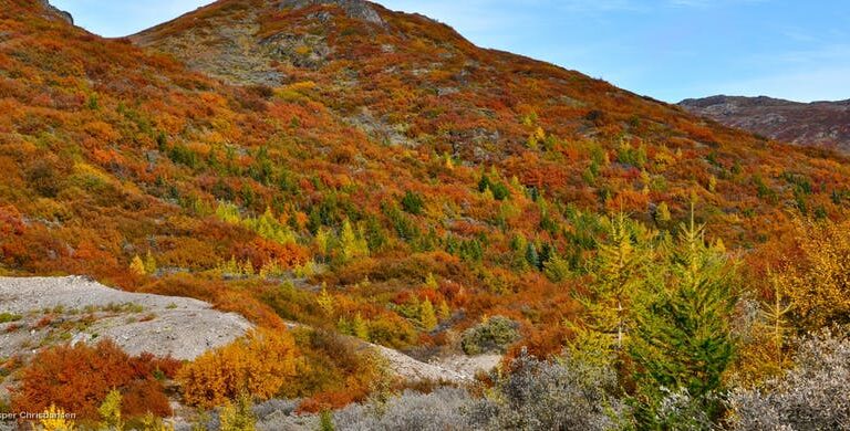 South Greenland Grand Adventure | 8 Days - Image 10