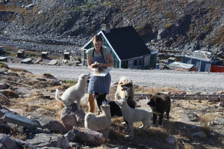 Summer in Ittoqqortoormiit | 4 Days | East Greenland - Image 5