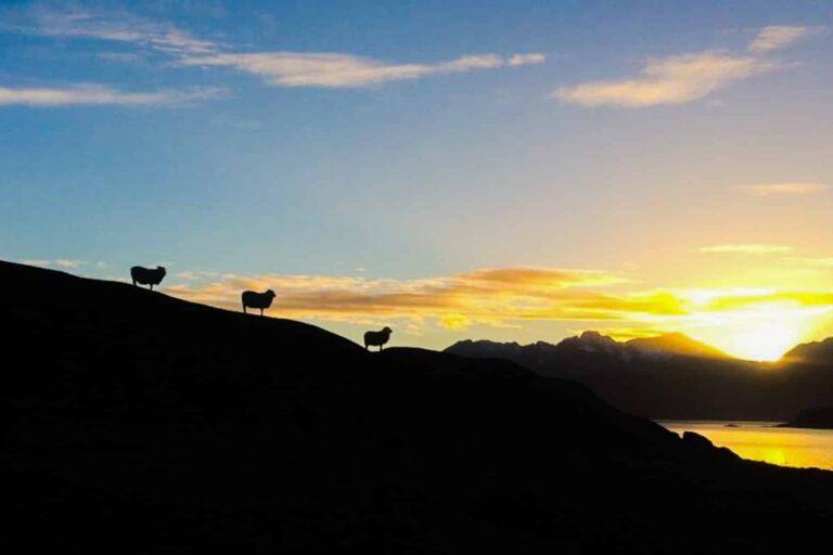 Tasermiut Camp | Nanortalik | South Greenland - Image 27