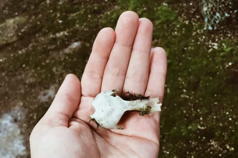 The Abandoned Settlement of Kangeq & The Island Of Hope | Nuuk - Image 9