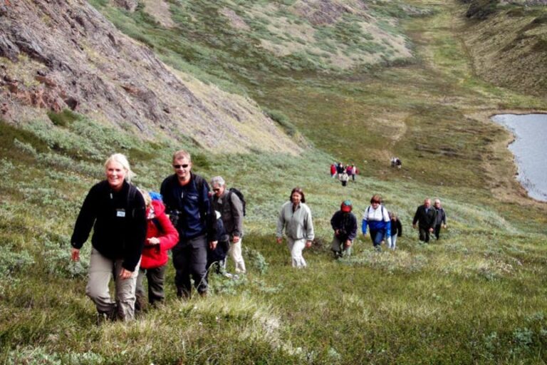 Tundra og Dyreliv | Kangerlussuaq | Vest Grønland - Billede 5