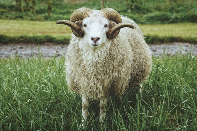 UNESCO 5 days package | South Greenland - Image 12