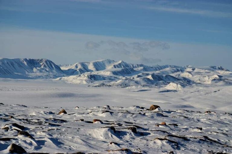 Unique World of the Inuit | Ittoqqortoormiit | East Greenland - Image 15
