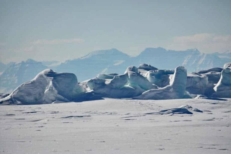 Unique World of the Inuit | Ittoqqortoormiit | East Greenland - Image 5