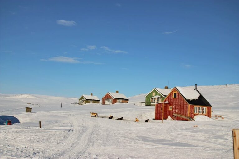 Unique World of the Inuit | Ittoqqortoormiit | East Greenland - Image 7