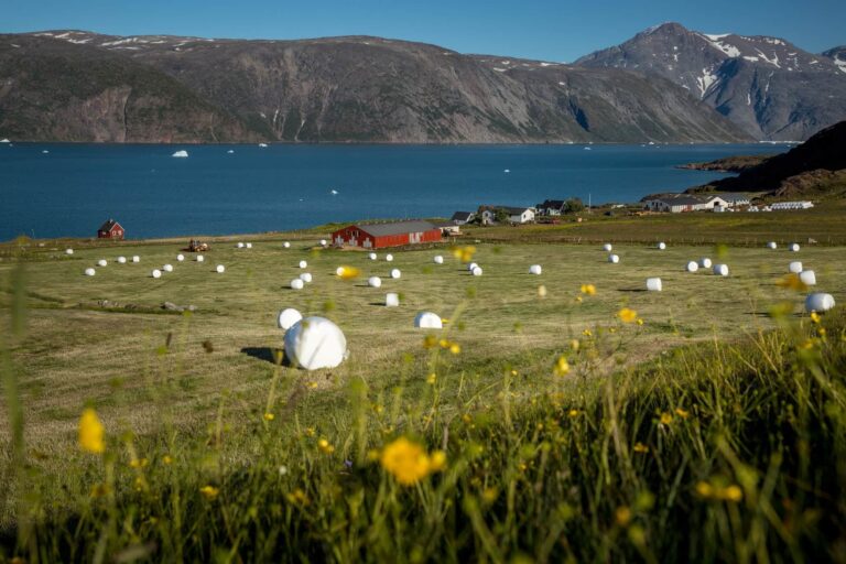 World Heritage Hvalsey by Helicopter | Qaqortoq | South Greenland - Image 7