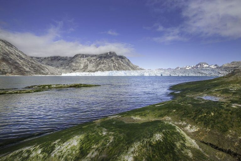 5 Day Greenland Highlights Tour | East Greenland - Image 9