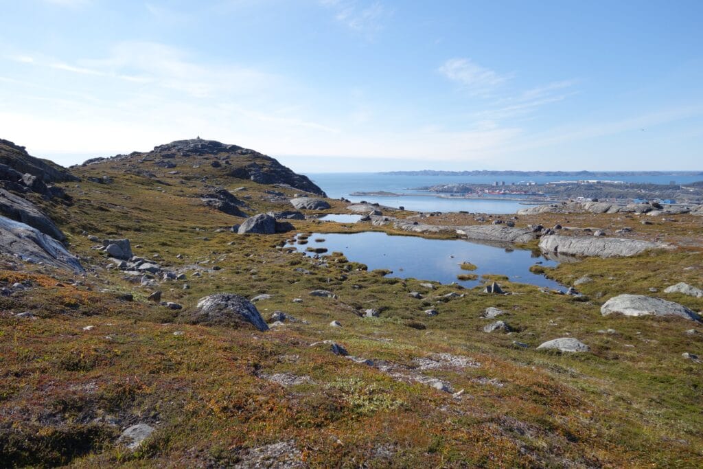 Berry picking in Nuuk, Greenland | Guide to Greenland