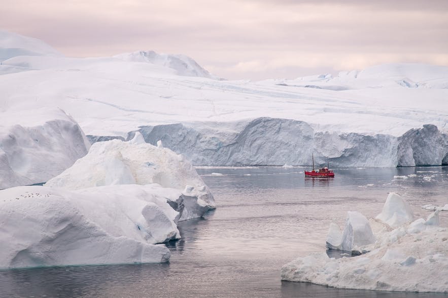 Boat tour among the icebergs