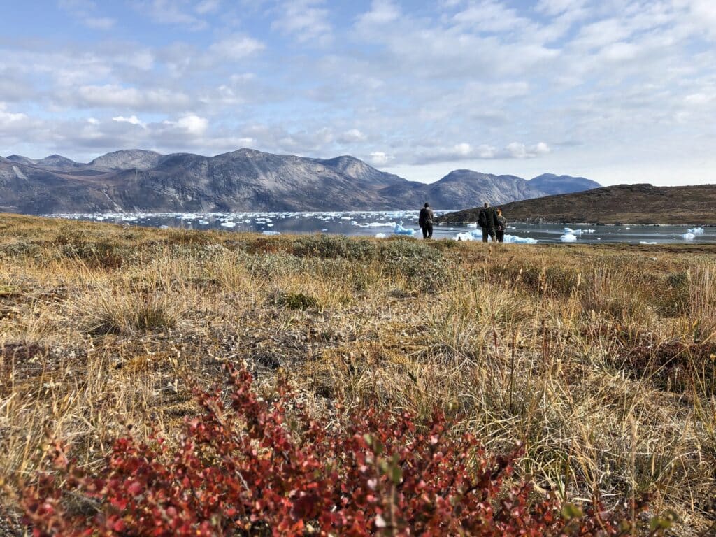 Colorful trip with icebergs in Kapisillit! | Guide to Greenland