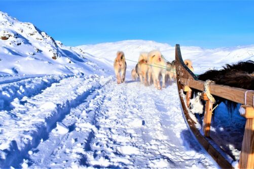 travel guide books greenland