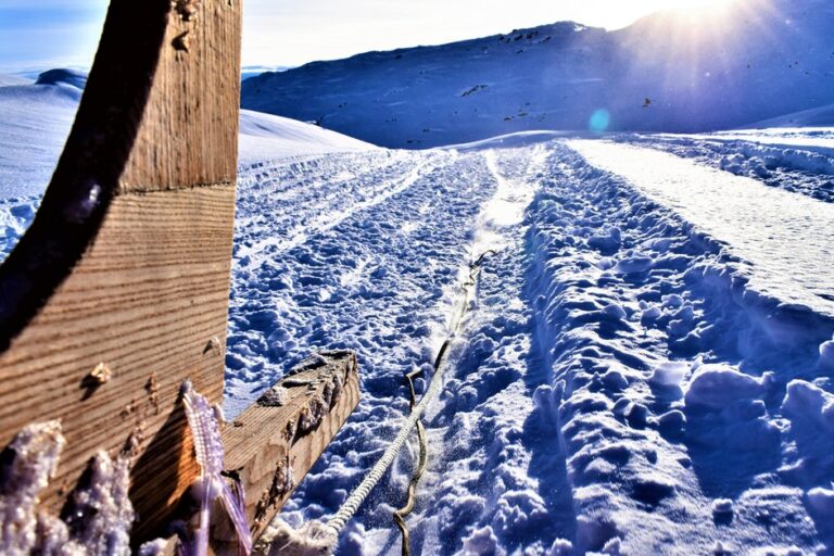 Dog Sled Expedition | Tasiilaq | East Greenland - Image 8