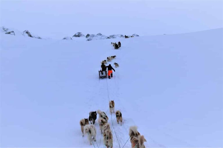 Dog Sled Expedition | Tasiilaq | East Greenland - Image 9