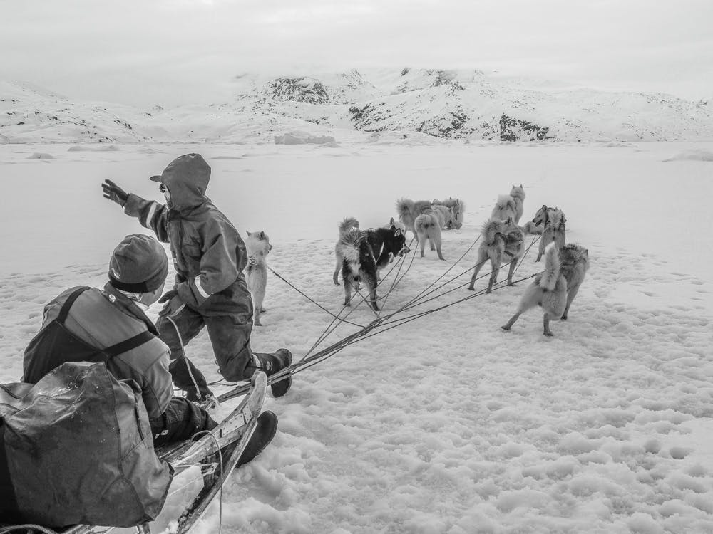 Musher almost ready to go