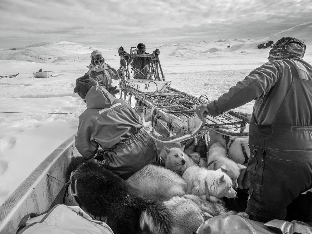Getting the dog sled onto a boat