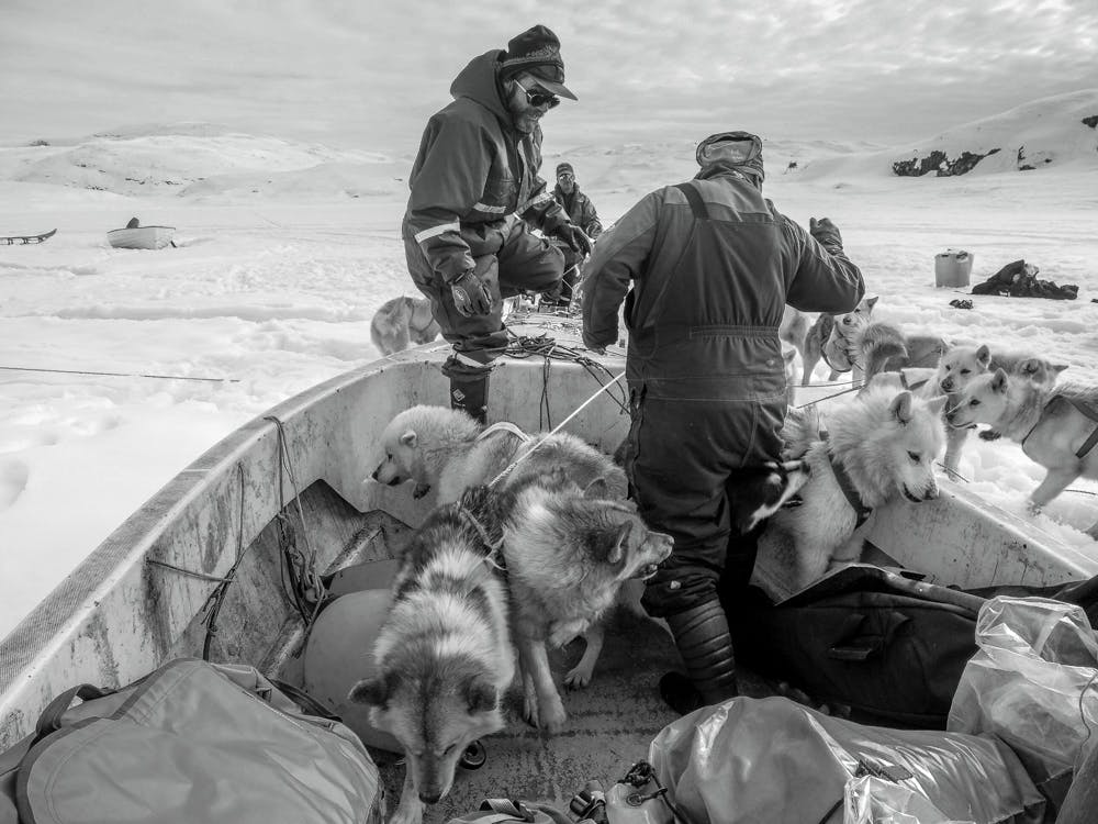 Man and his sled dogs getting on a boat
