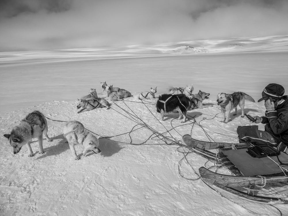 Man talking in a radio on the sea ice