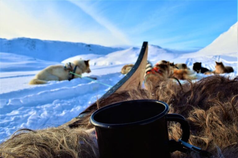 Dog Sled Express | Tasiilaq | East Greenland - Image 3