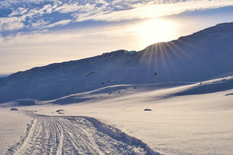 Dog Sled Express | Tasiilaq | East Greenland - Image 7