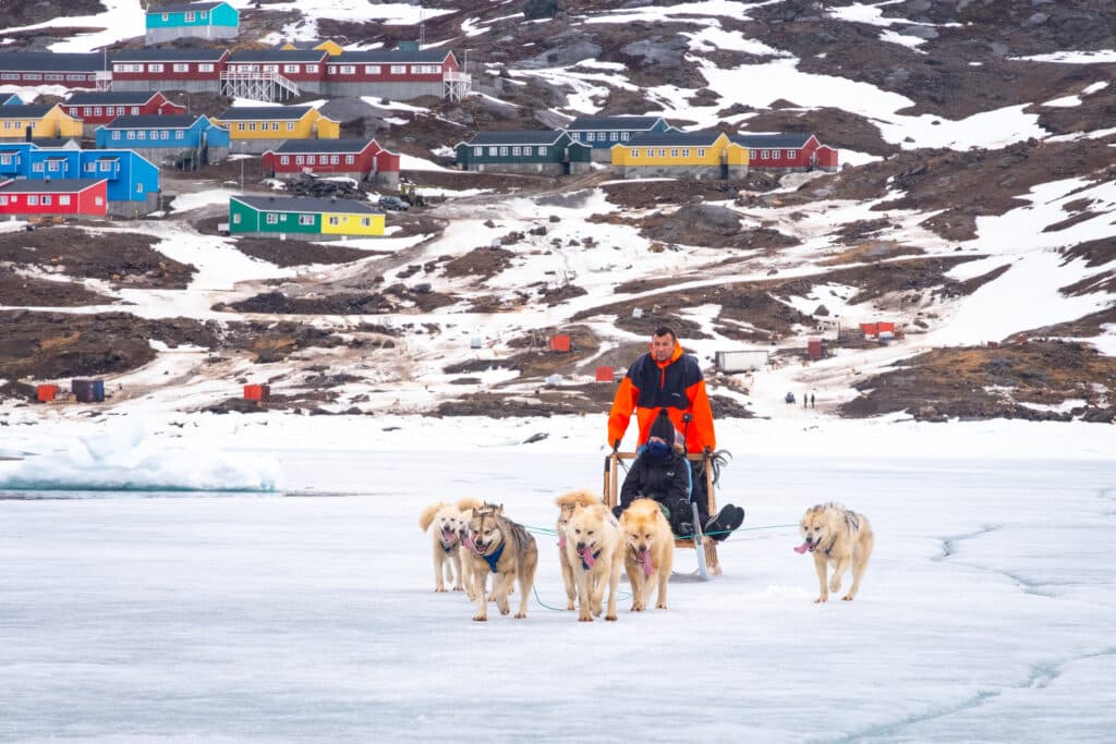Tasiilaq dogsledding