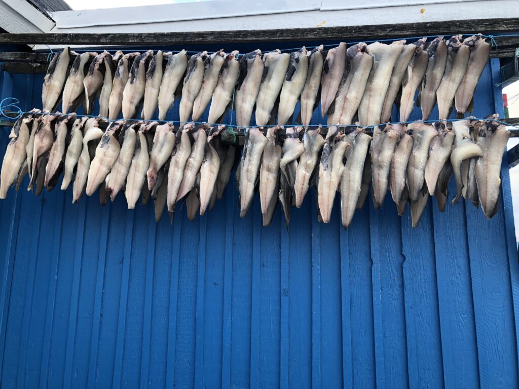 Died fish