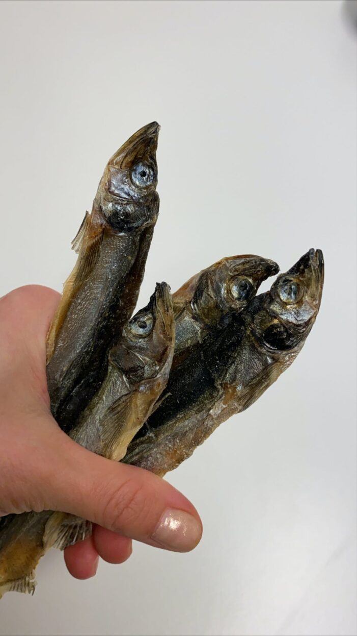 Dried meat and fish Guide to Greenland