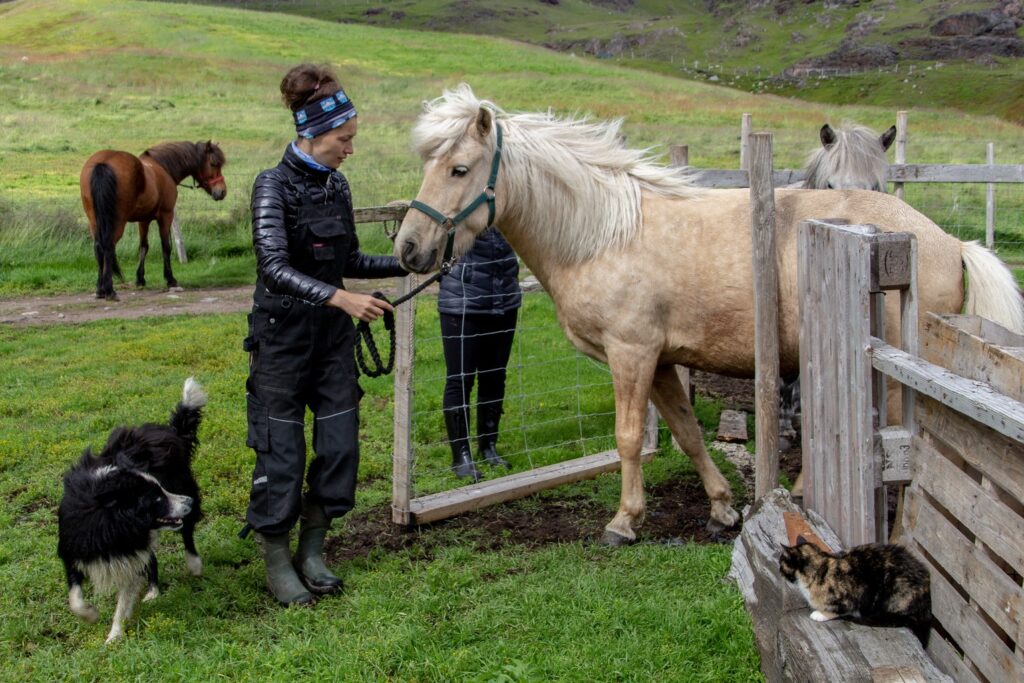 Woman with a horse at a Guest farm called Inneruulalik