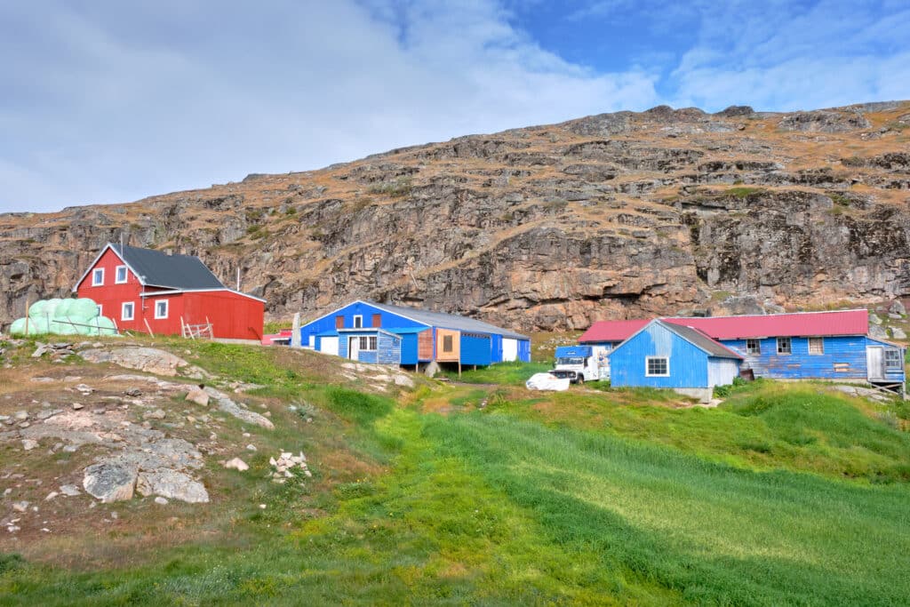 Qaqortoq sheep farm